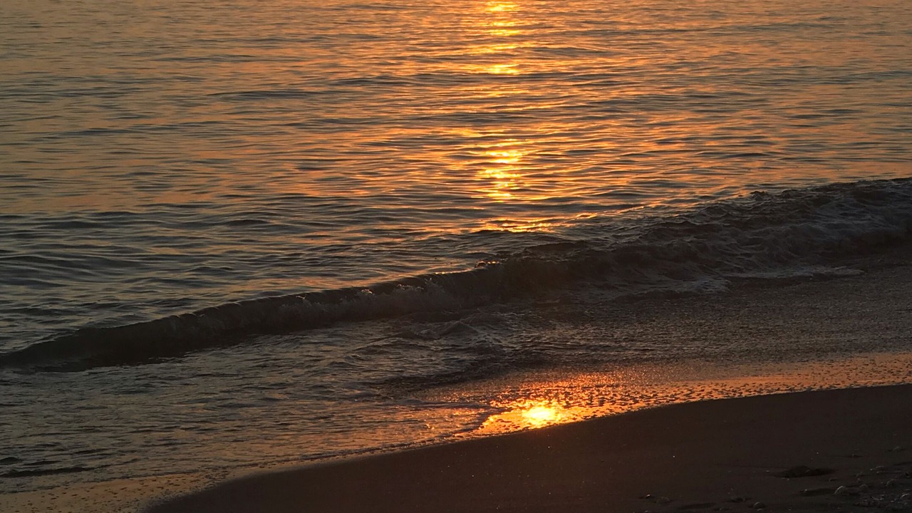 Photo of Others in Sanibel