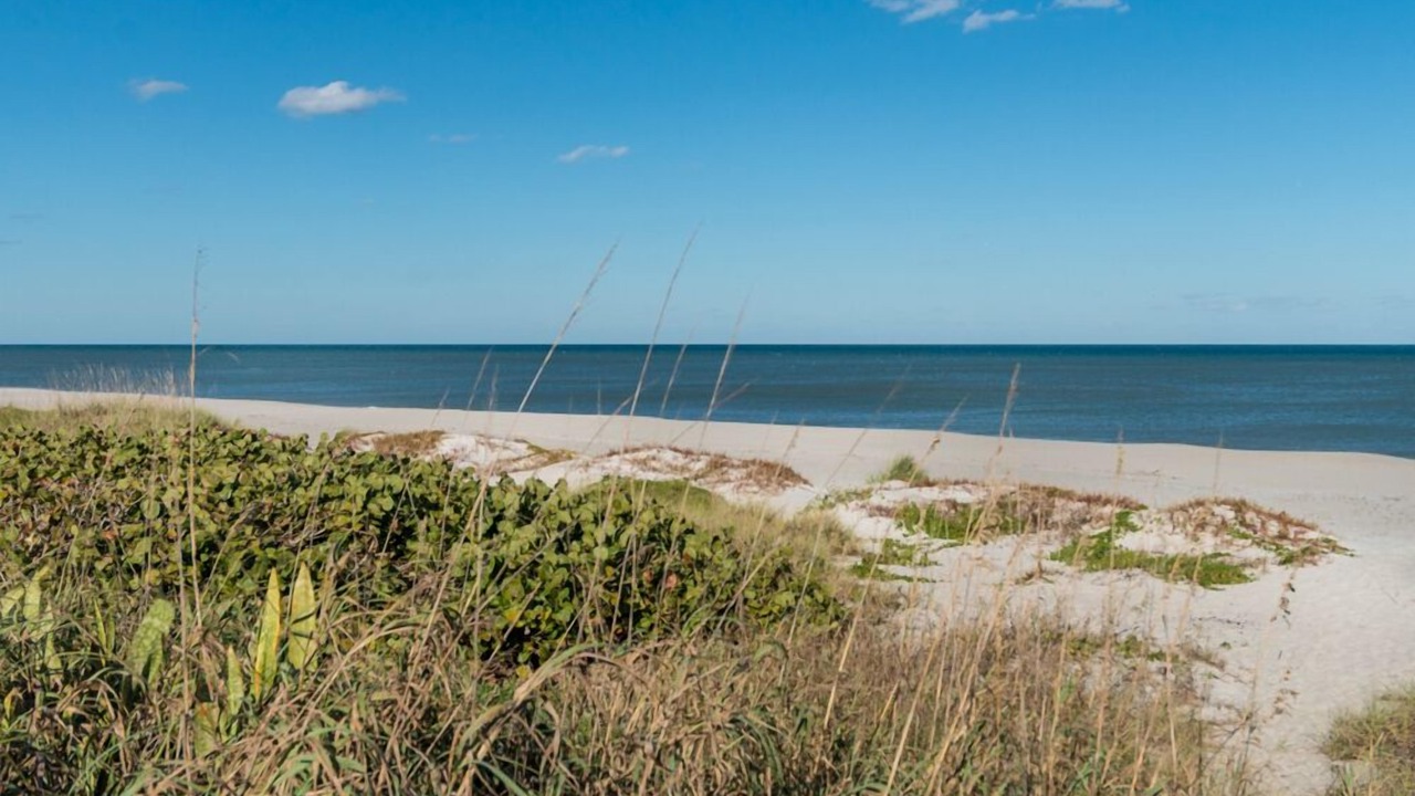 Photo of Others in Indialantic By The Sea