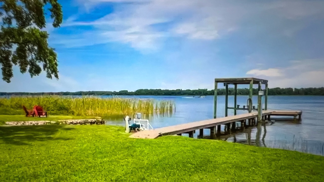 Photo of Outdoor in Palm Harbor