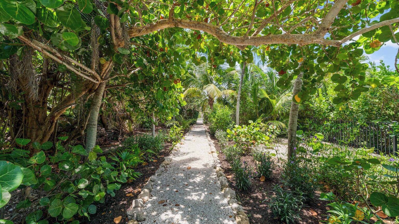 Photo of Outdoor in Captiva