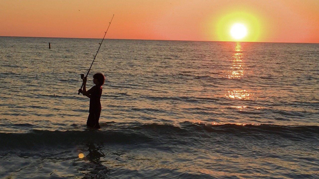 Photo of Others in Redington Beach
