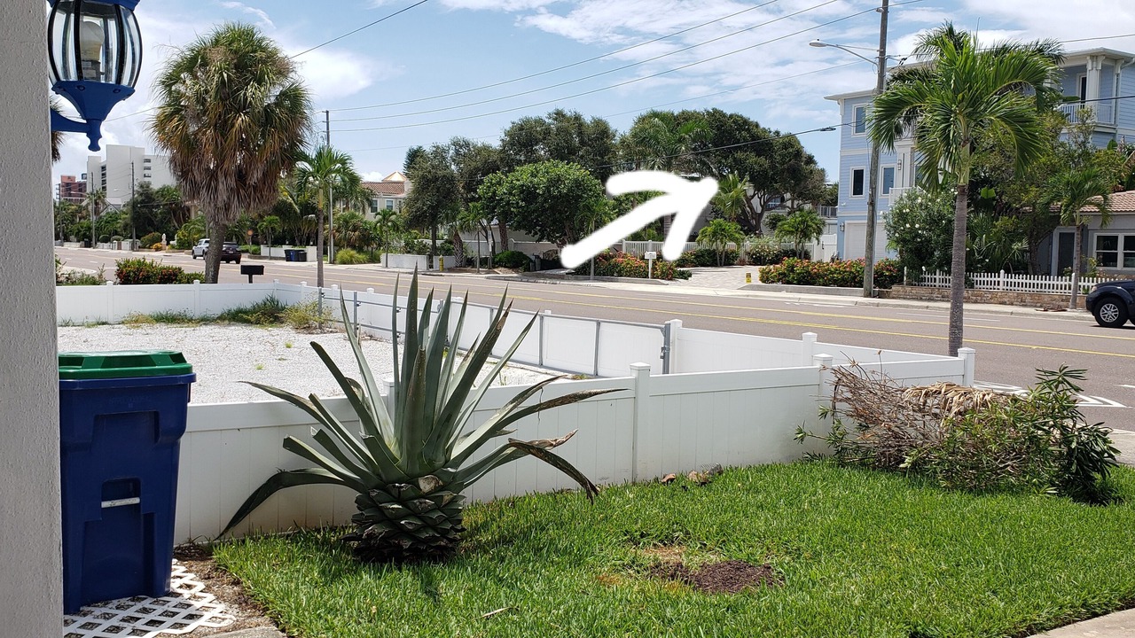 Photo of Others in Redington Beach