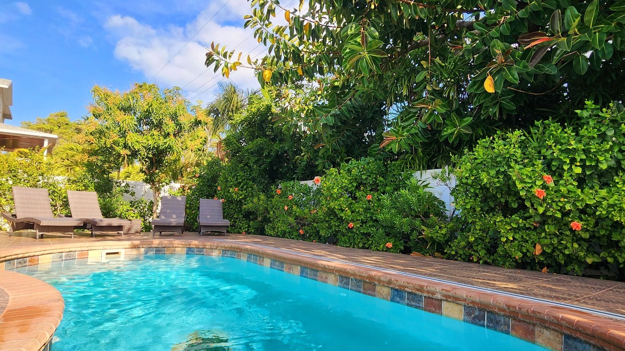 Photo of Outdoor in Redington Beach