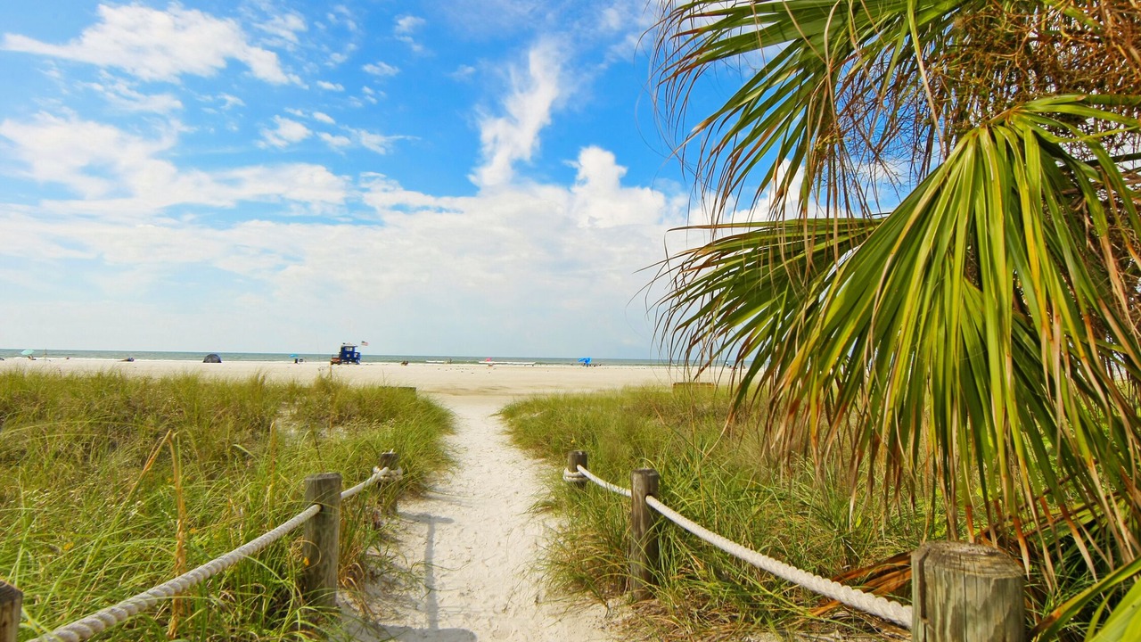 Photo of Others in Siesta Key