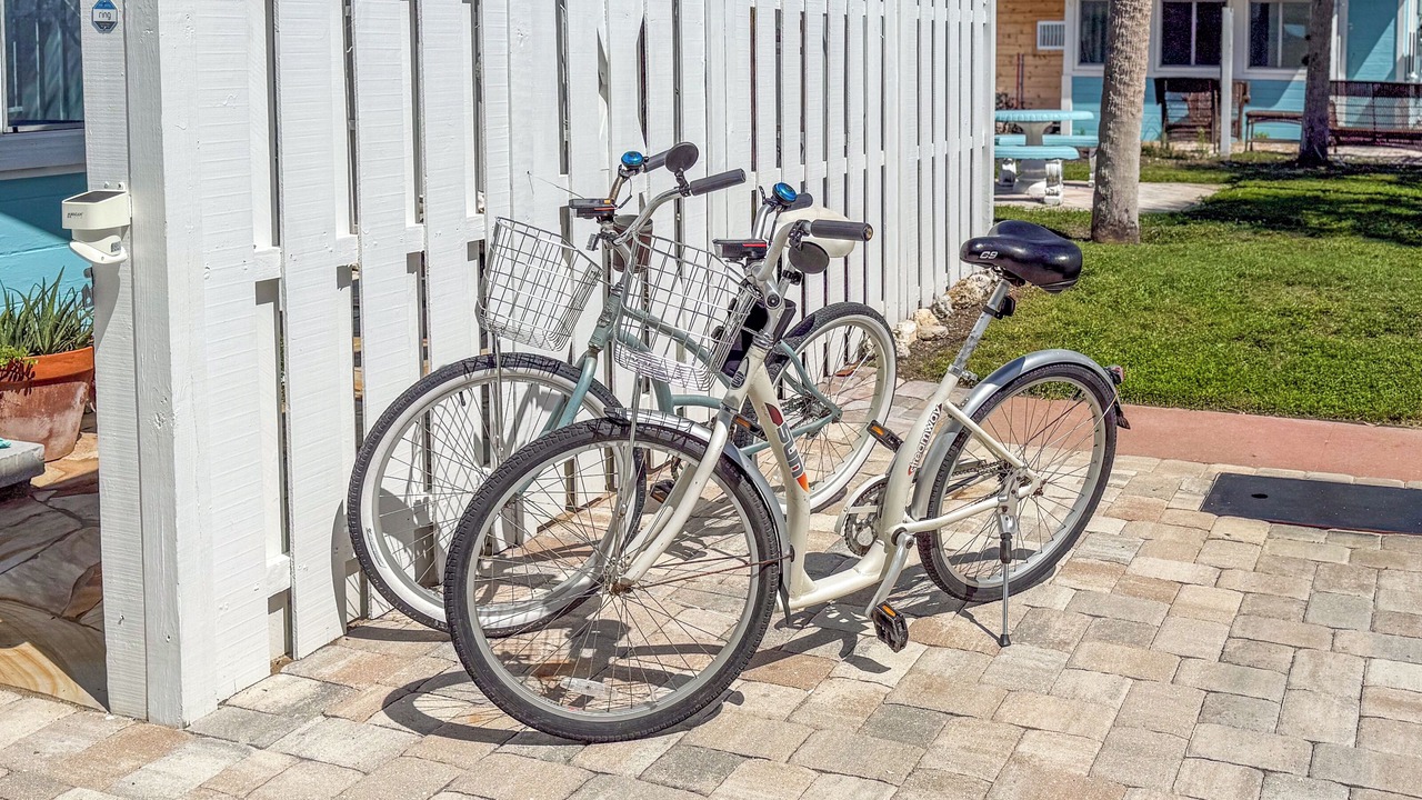 Photo of Outdoor in Siesta Key