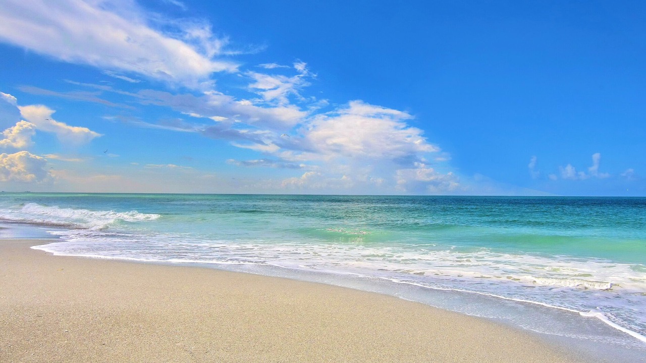 Photo of Others in Siesta Key