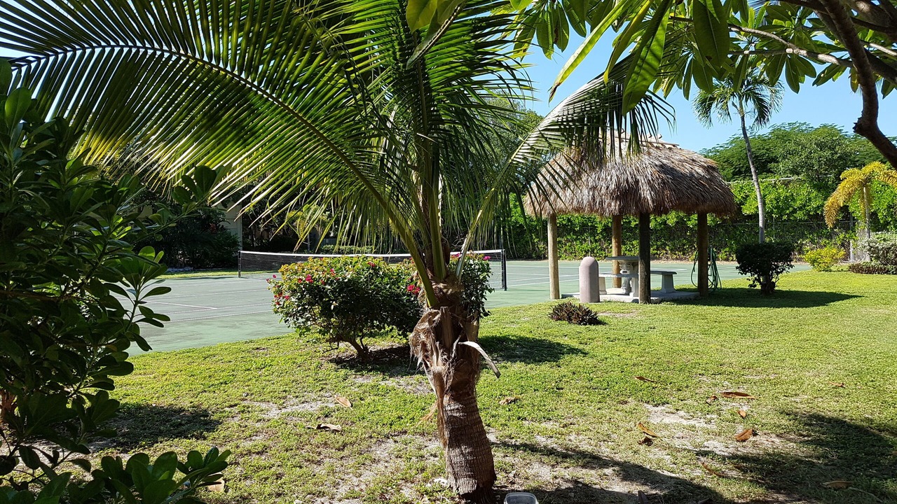Photo of Others in Islamorada