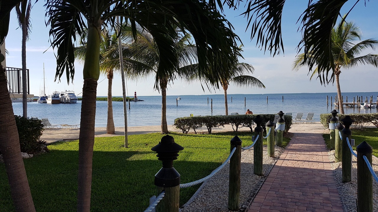 Photo of Others in Islamorada