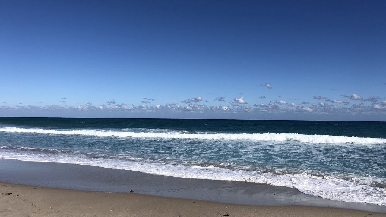 Photo of Others in West Palm Beach