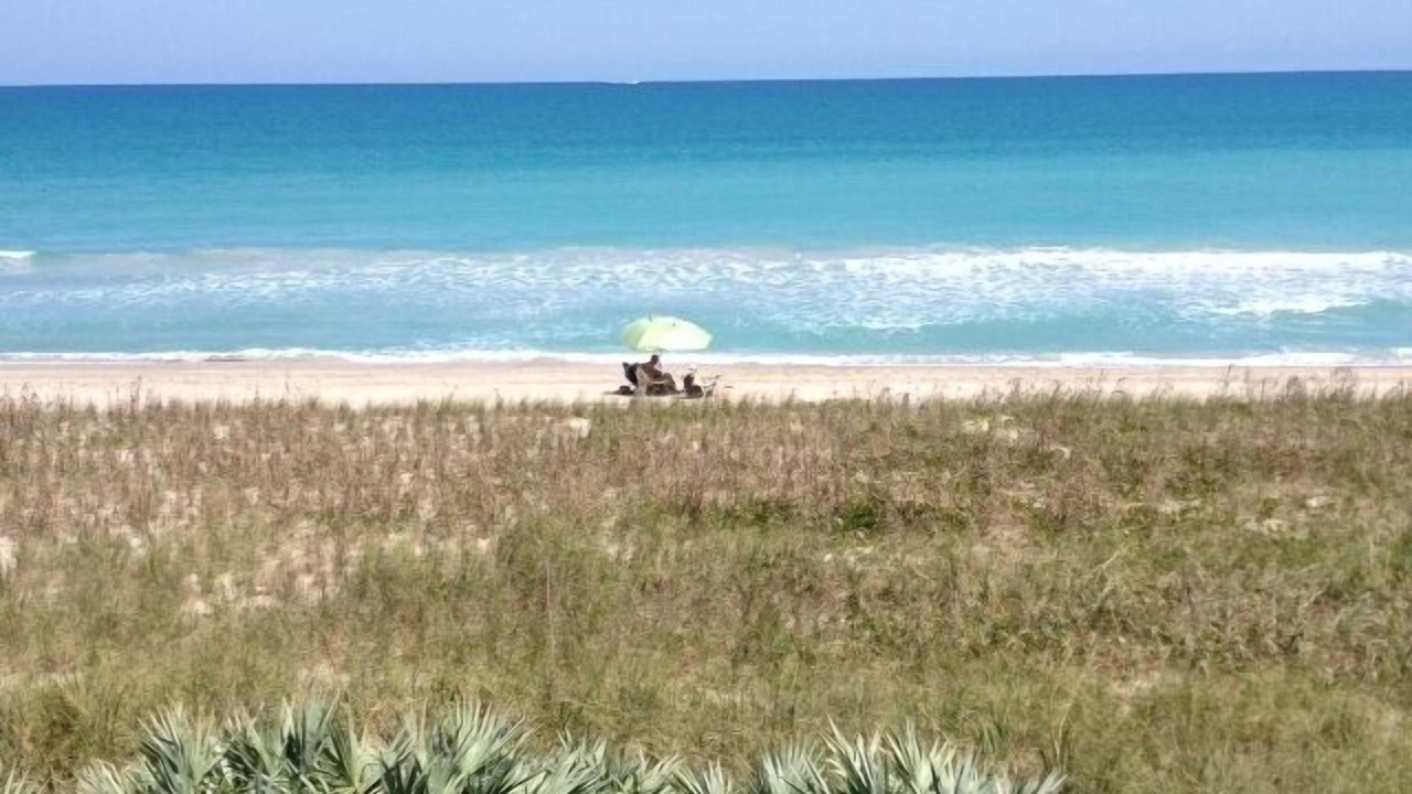 Photo of Others in Hutchinson Island South