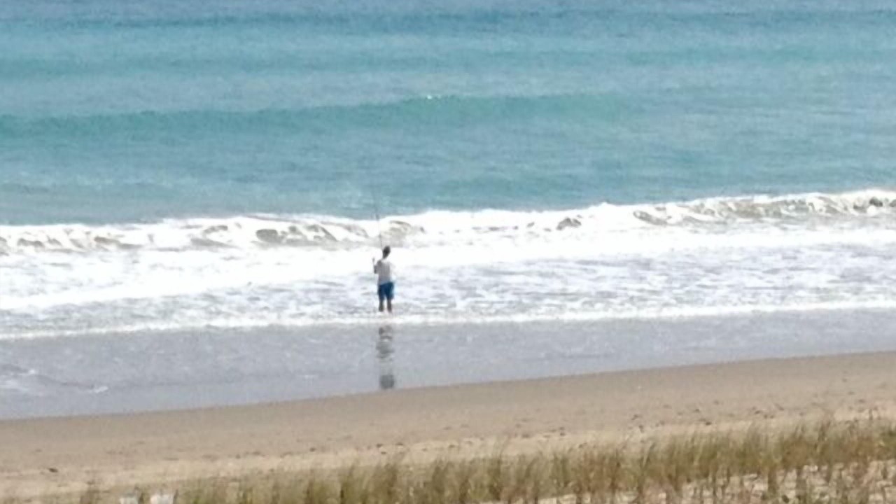 Photo of Others in Hutchinson Island South