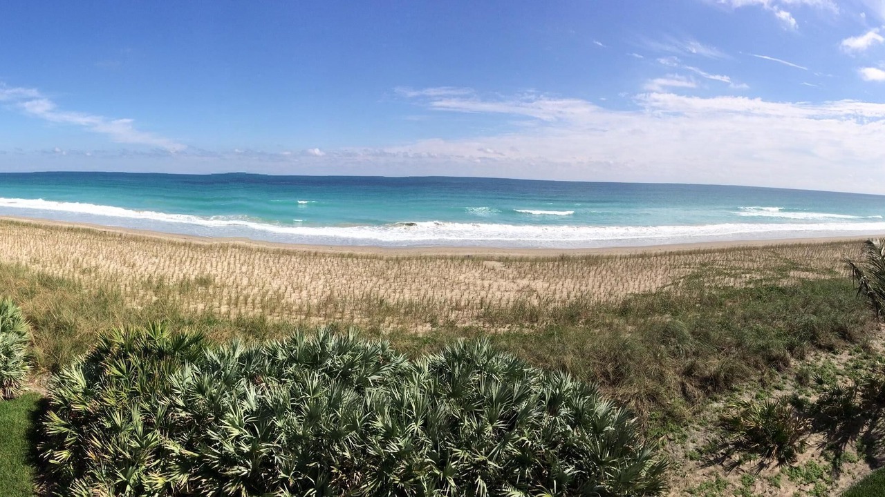 Photo of Others in Hutchinson Island South