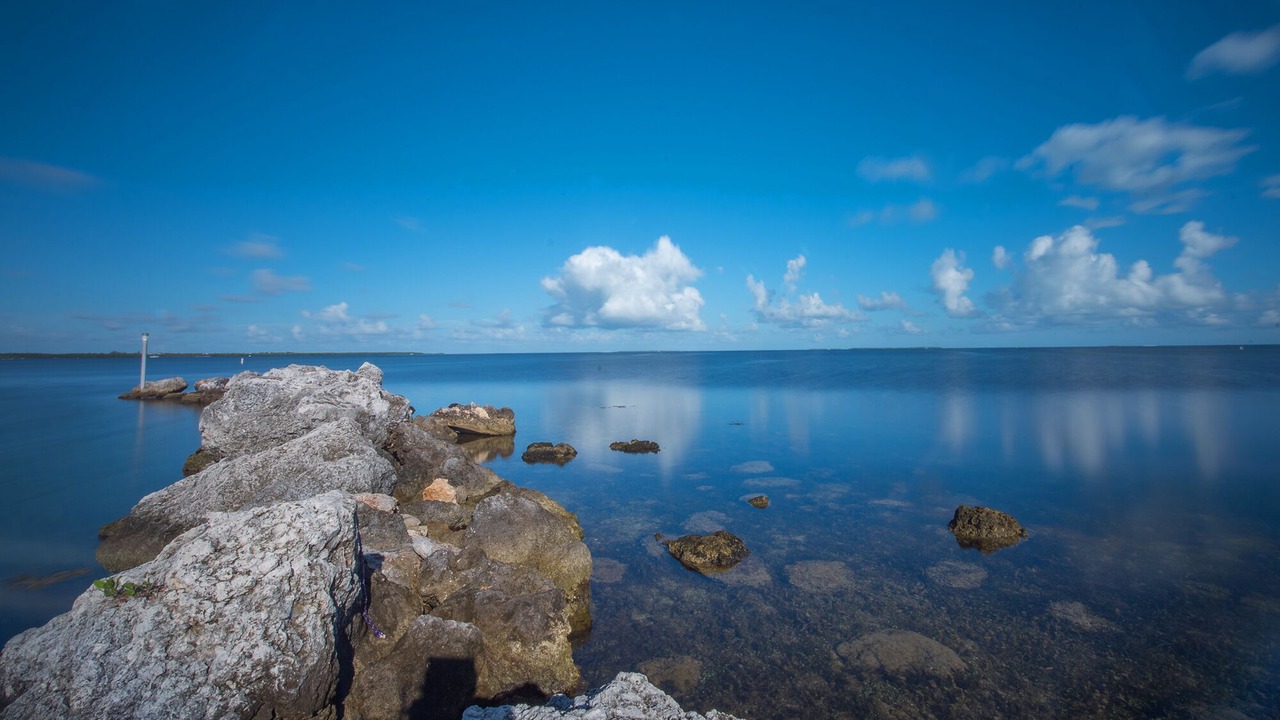 Photo of Others in Islamorada