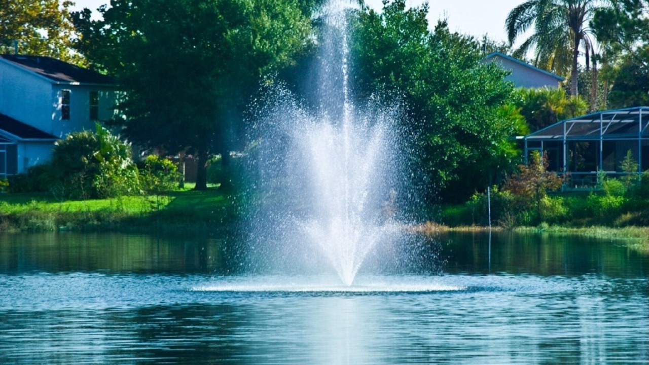 Photo of Outdoor in West Kissimmee