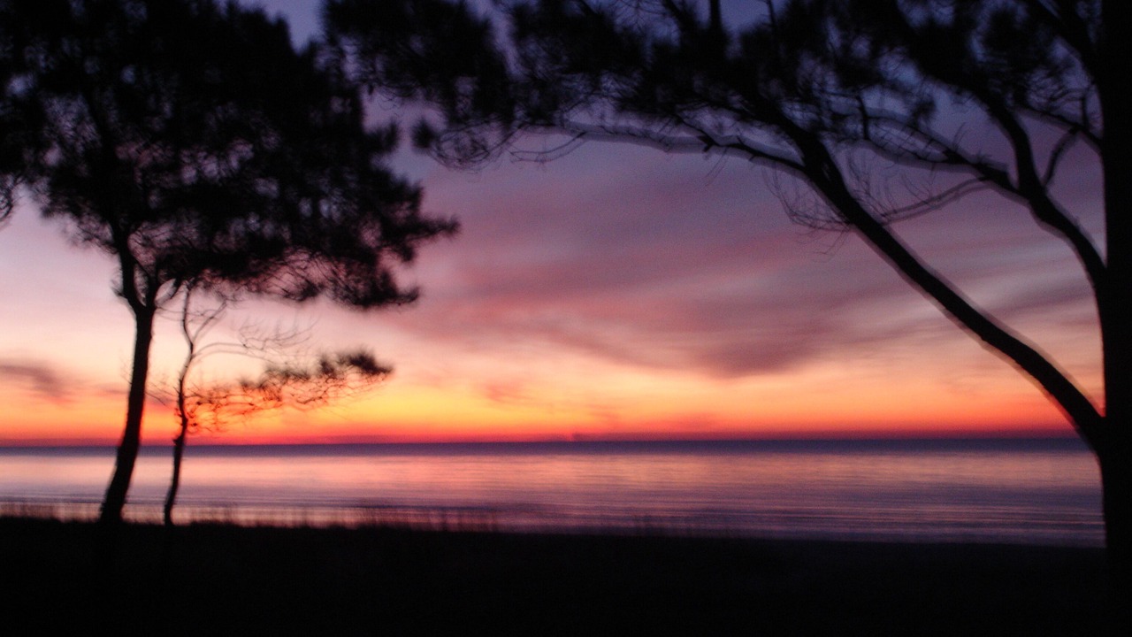 Photo of Others in Hilton Head Island