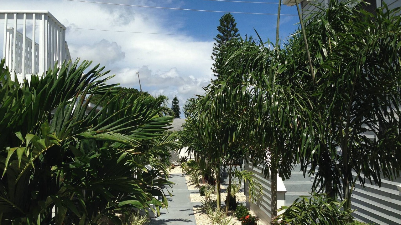Photo of Outdoor in Treasure Island