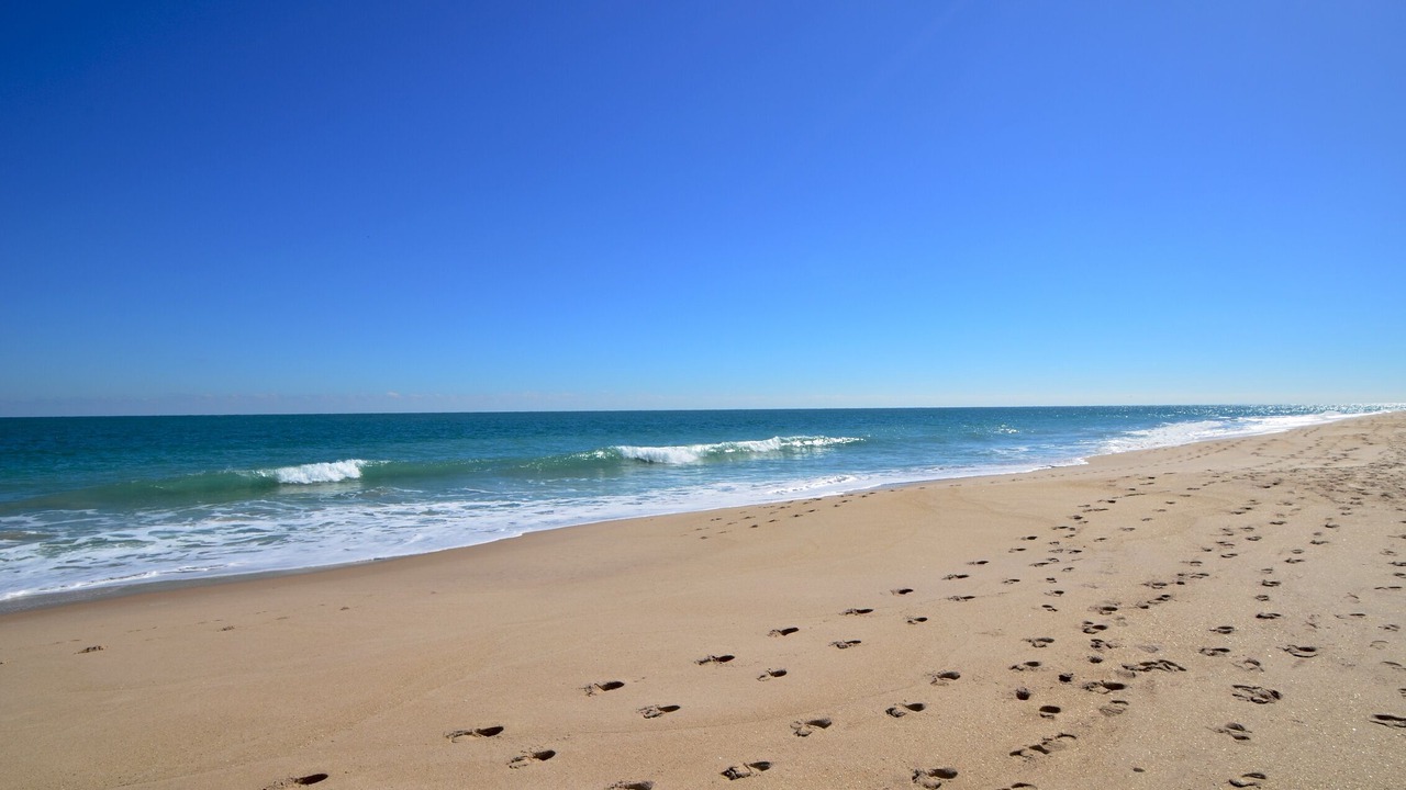 Photo of Others in Vero Beach