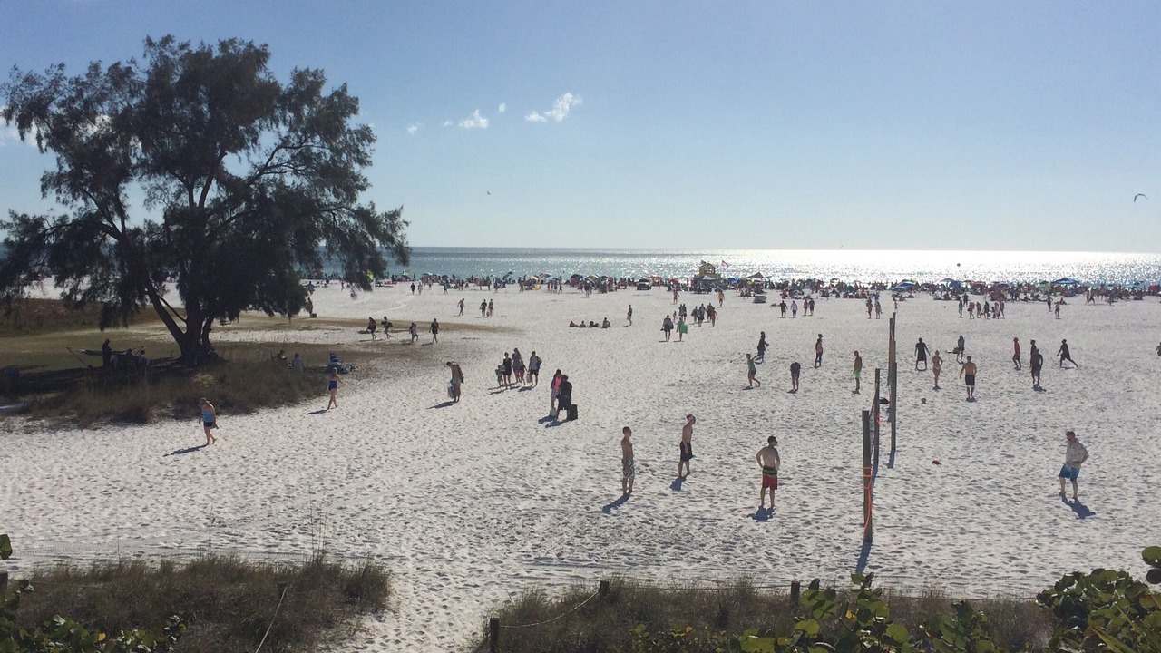 Photo of Others in Siesta Key