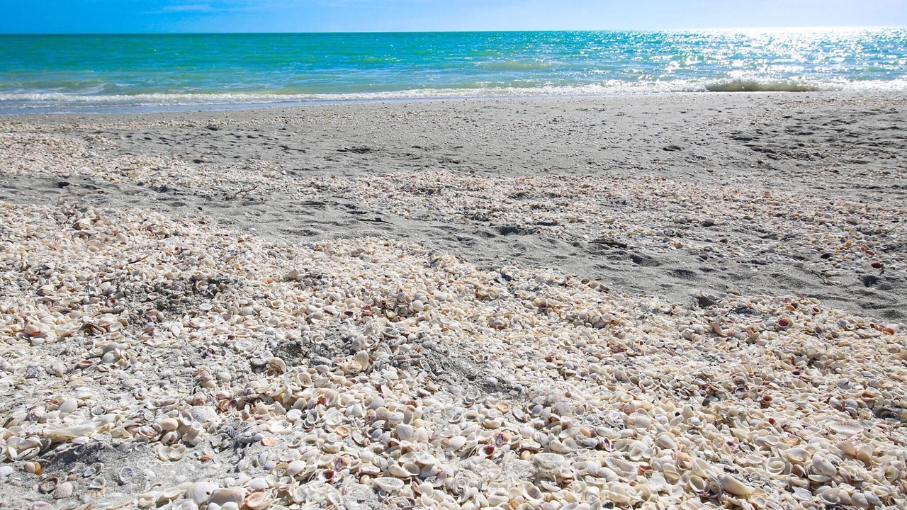 Photo of Others in Sanibel