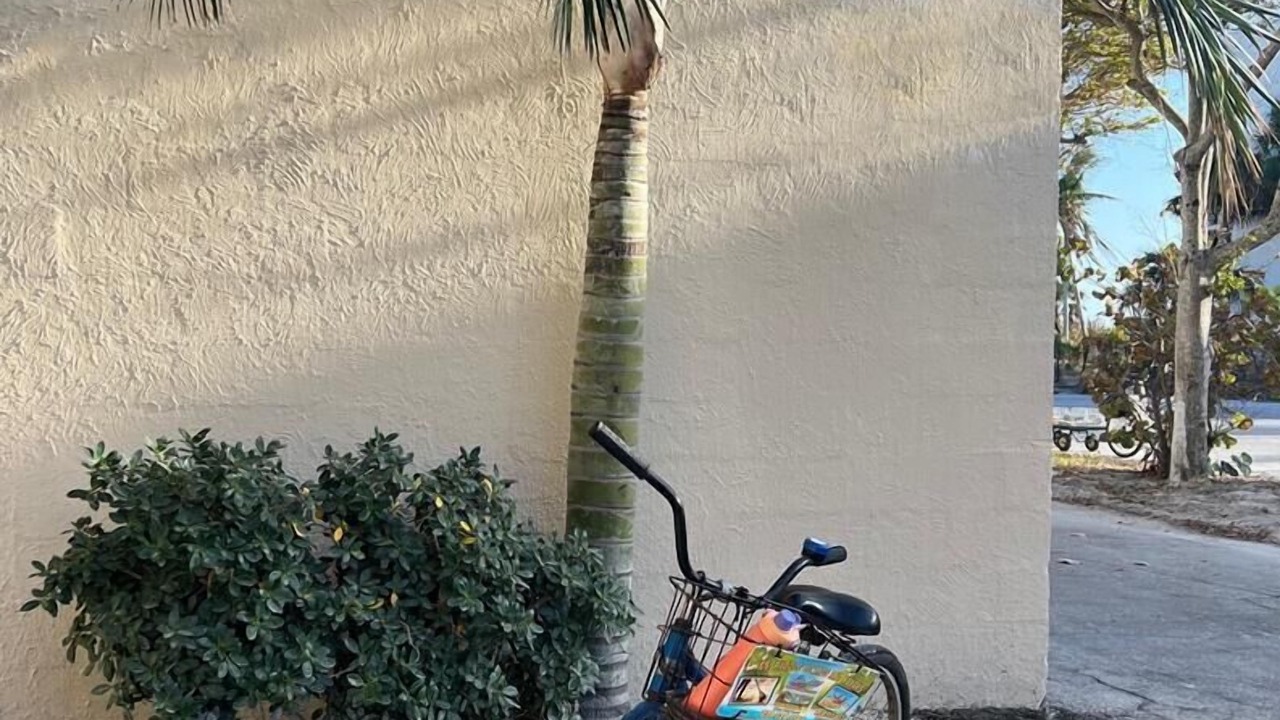 Photo of Others in Sanibel