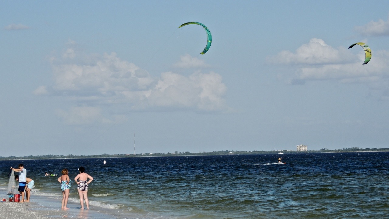 Photo of Others in Gumbo Limbo