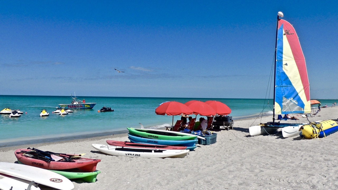 Photo of Others in Gumbo Limbo