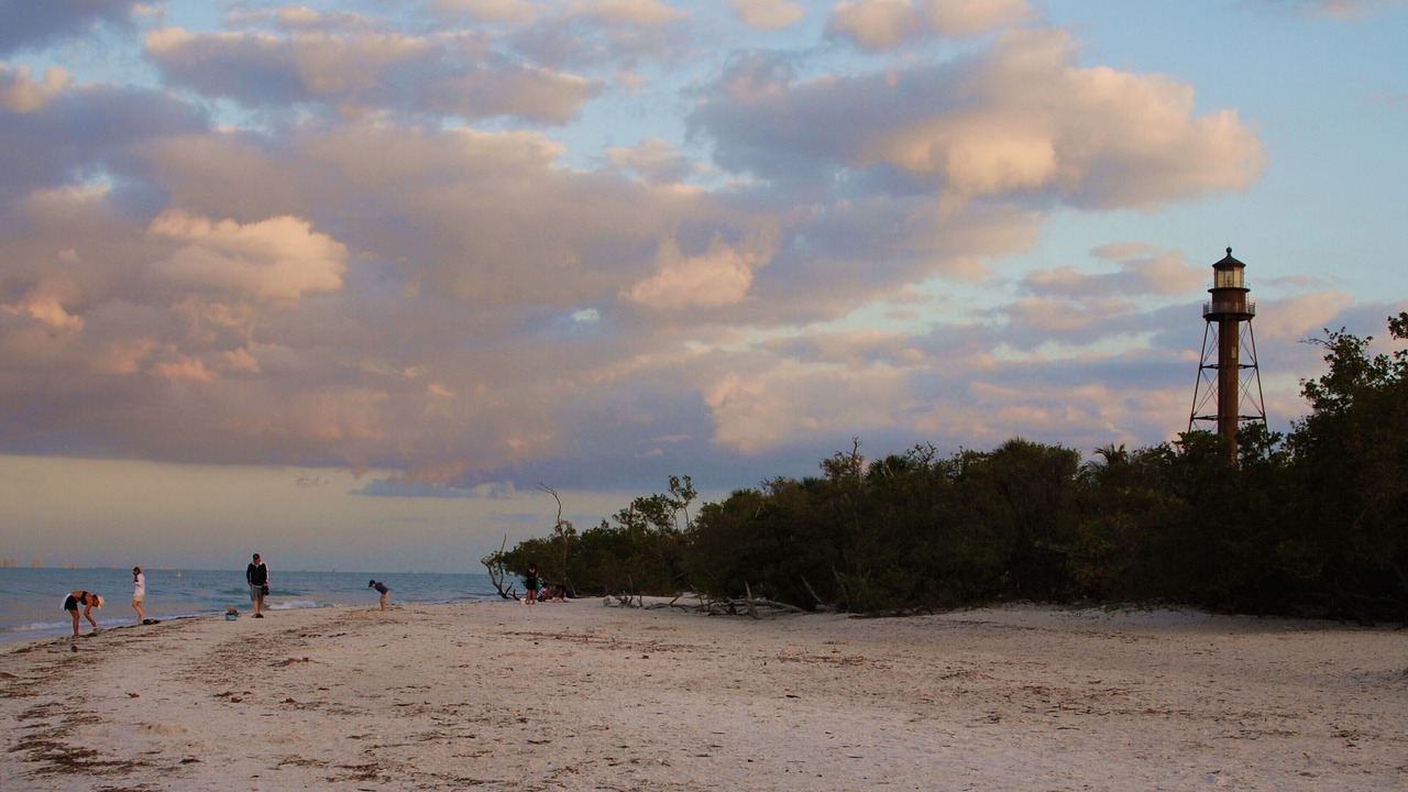 Photo of Others in Gumbo Limbo