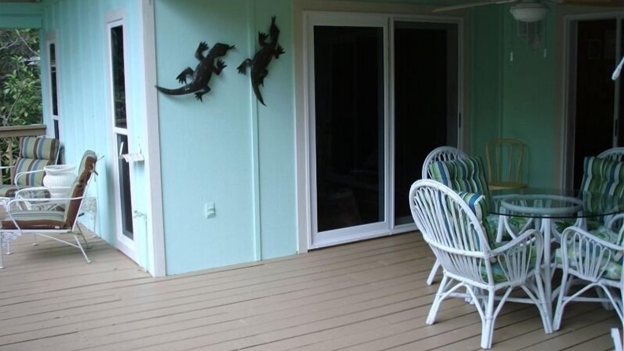 Photo of Others in Gumbo Limbo