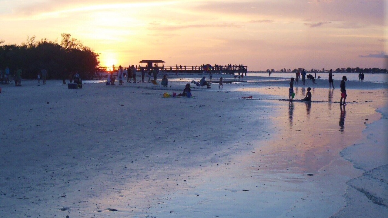 Photo of Others in Gumbo Limbo