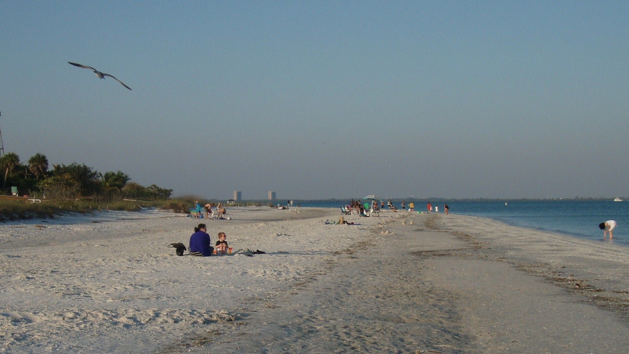 Photo of Others in Gumbo Limbo