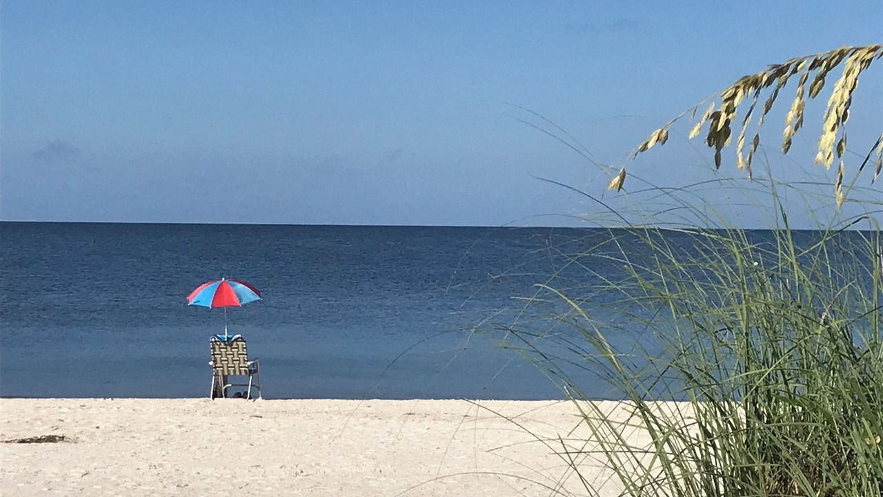 Photo of Others in Bonita Springs