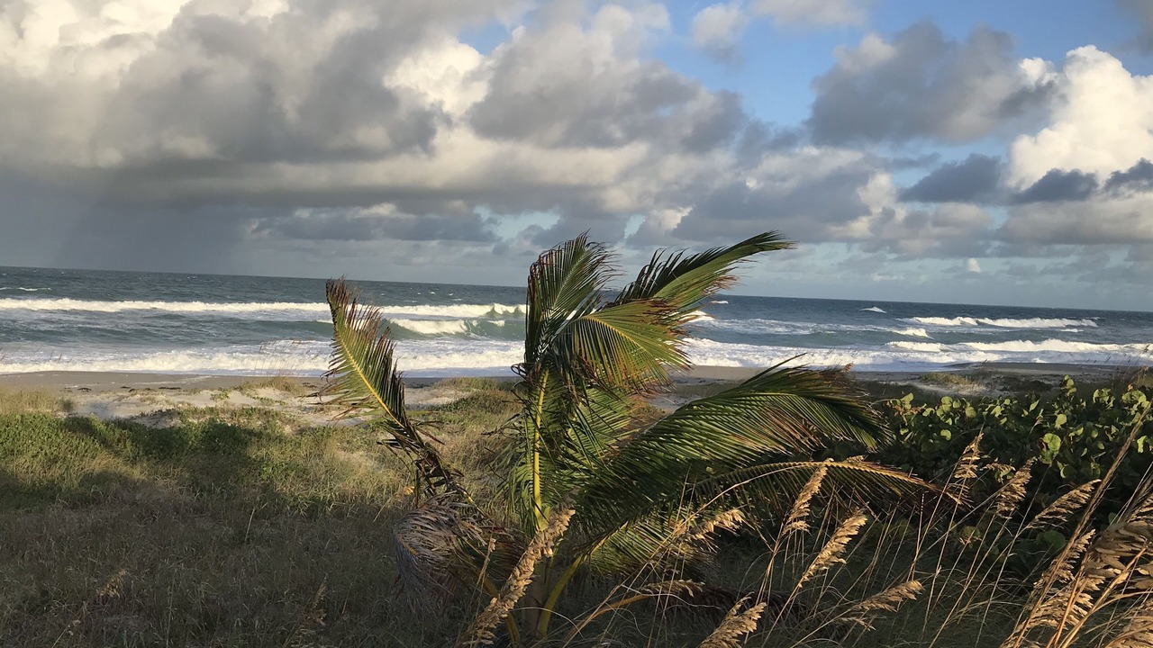 Photo of Others in Indialantic By The Sea