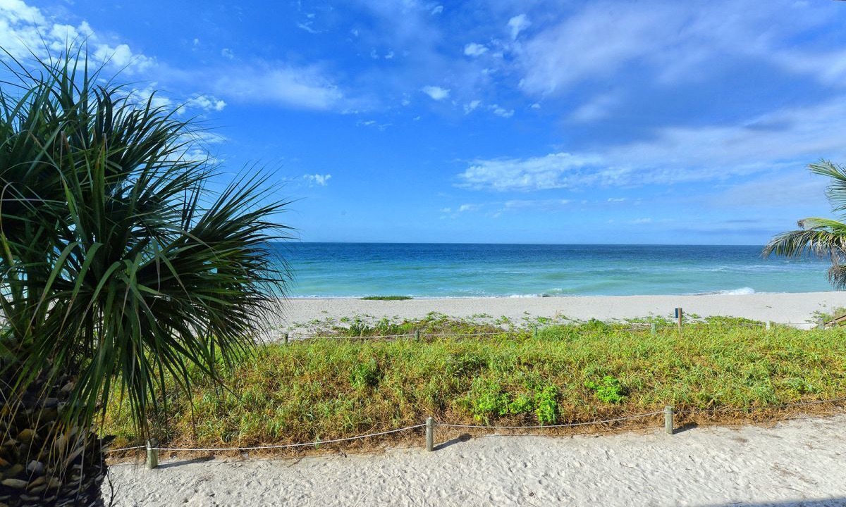 Photo of Others in Siesta Key