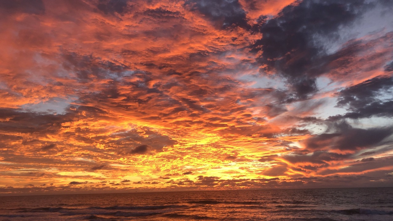 Photo of Others in Siesta Key