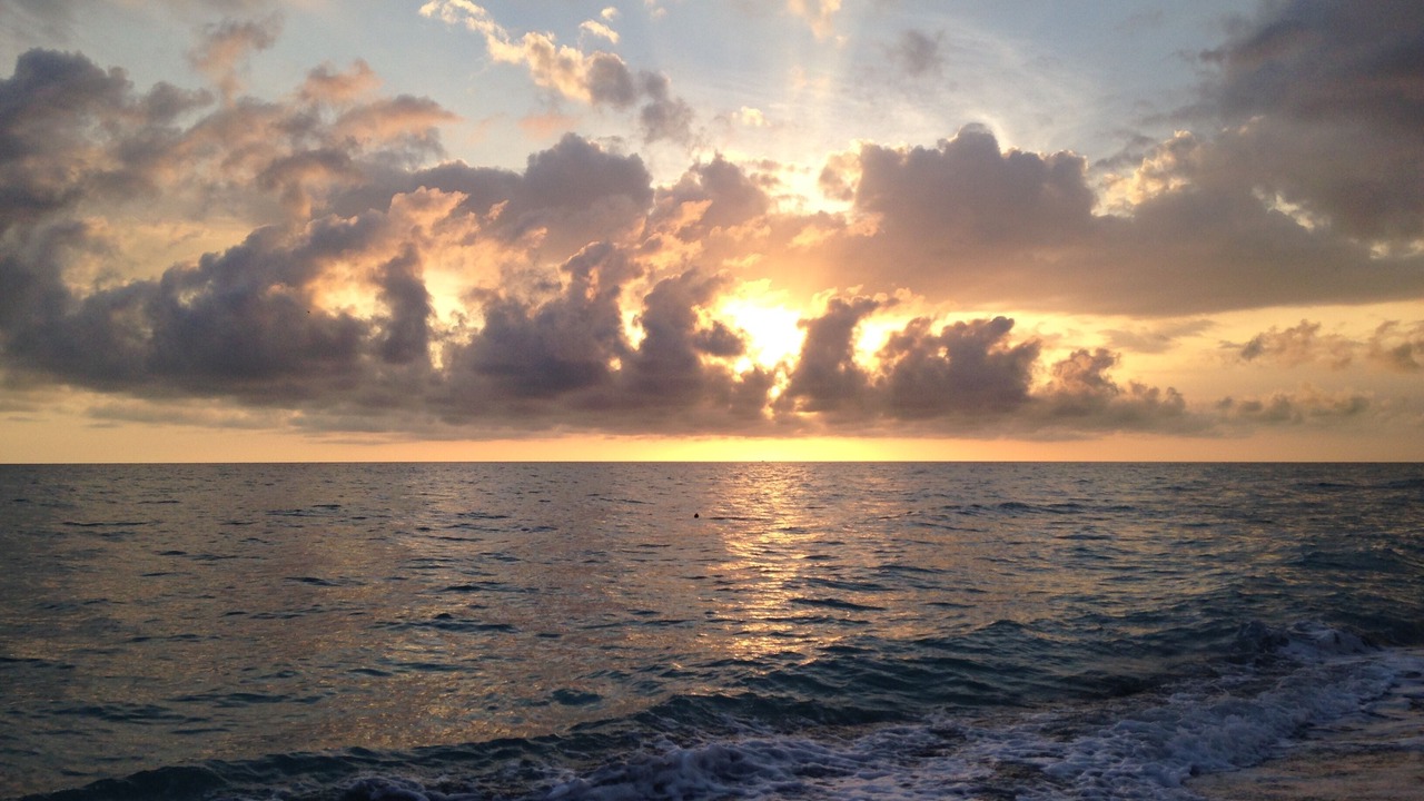 Photo of Others in Siesta Key