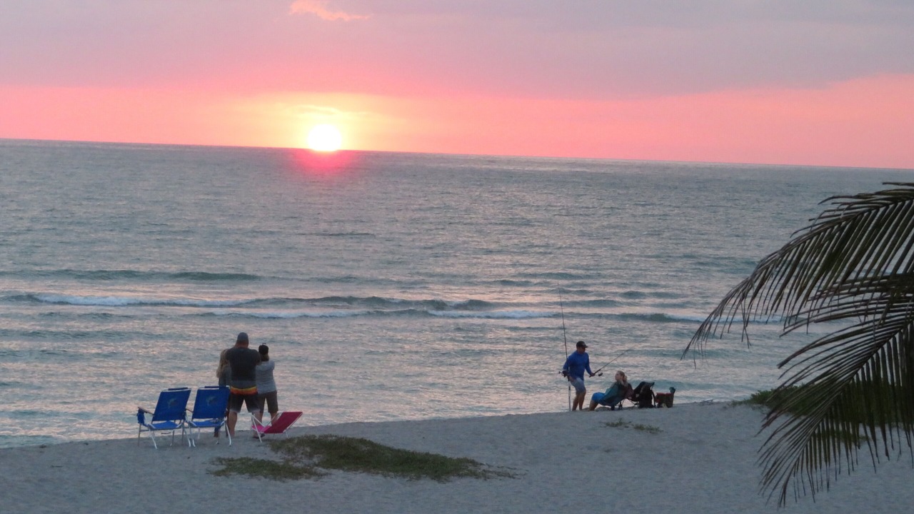 Photo of Others in Siesta Key
