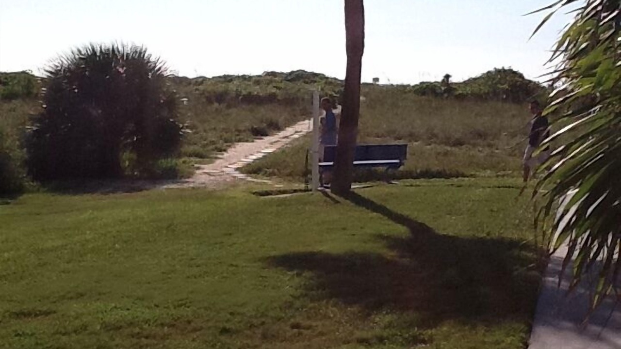 Photo of Others in Siesta Key