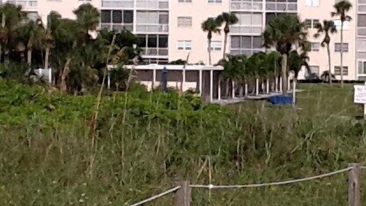 Photo of Others in Siesta Key