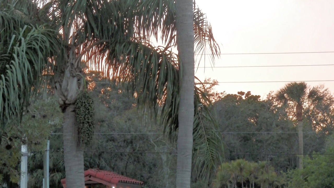 Photo of Others in Bradenton