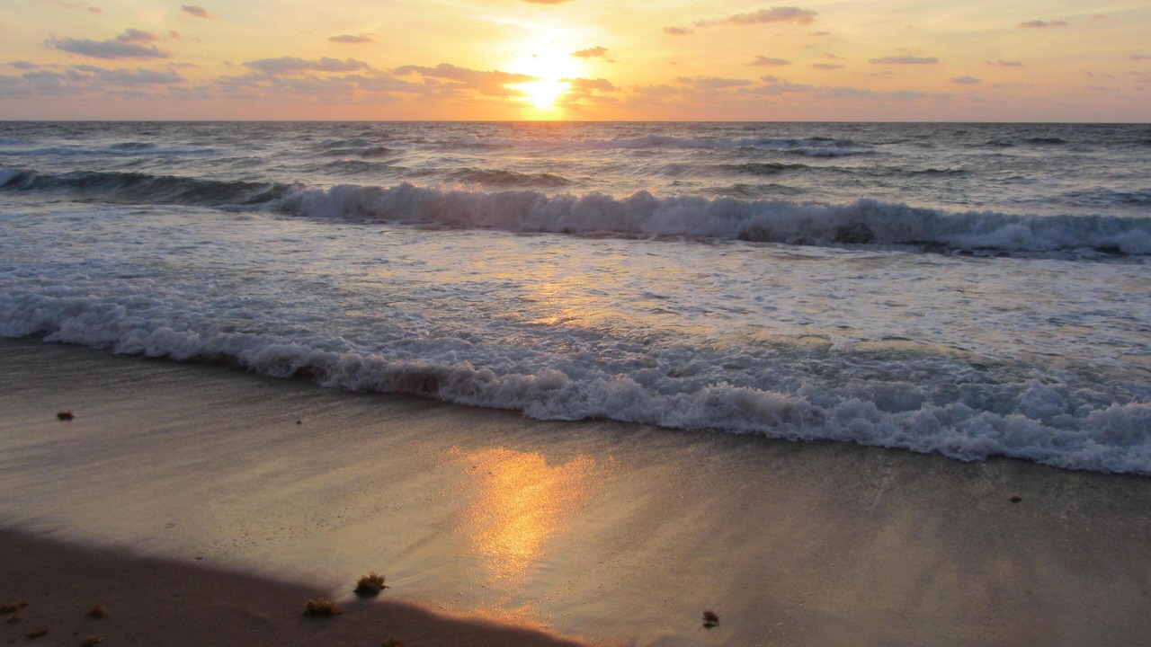 Photo of Others in Palm Beach