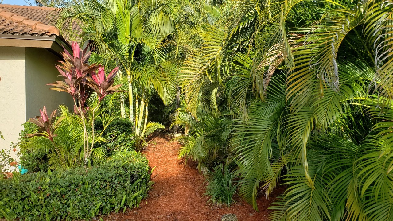 Photo of Outdoor in Villas