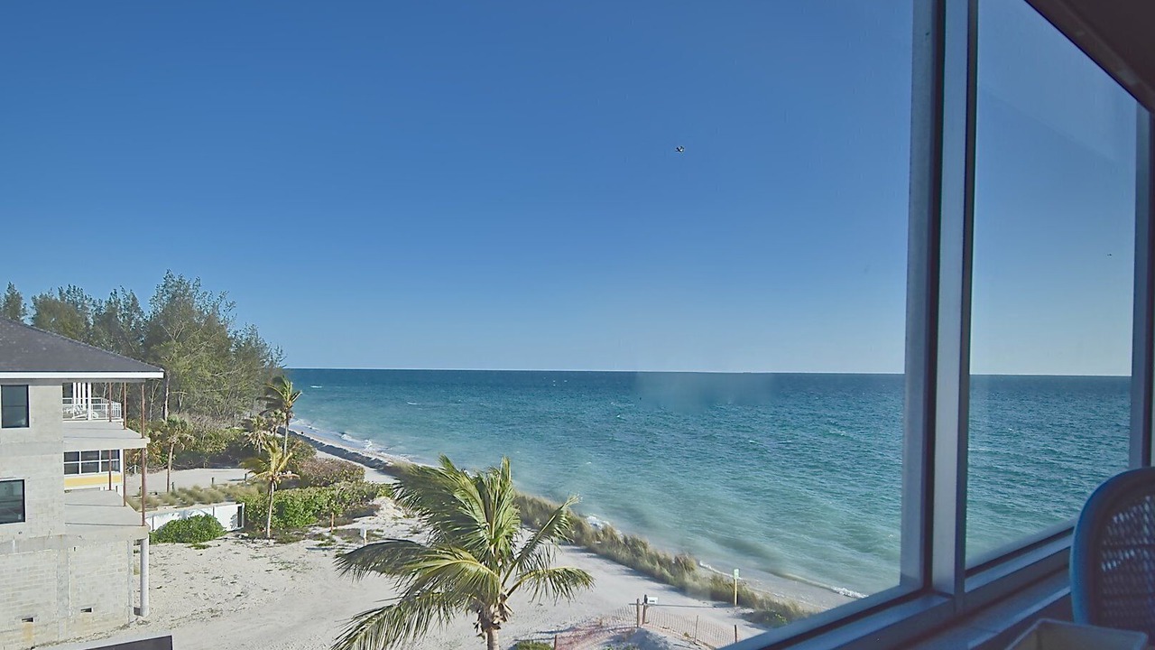 Photo of Others in Siesta Key