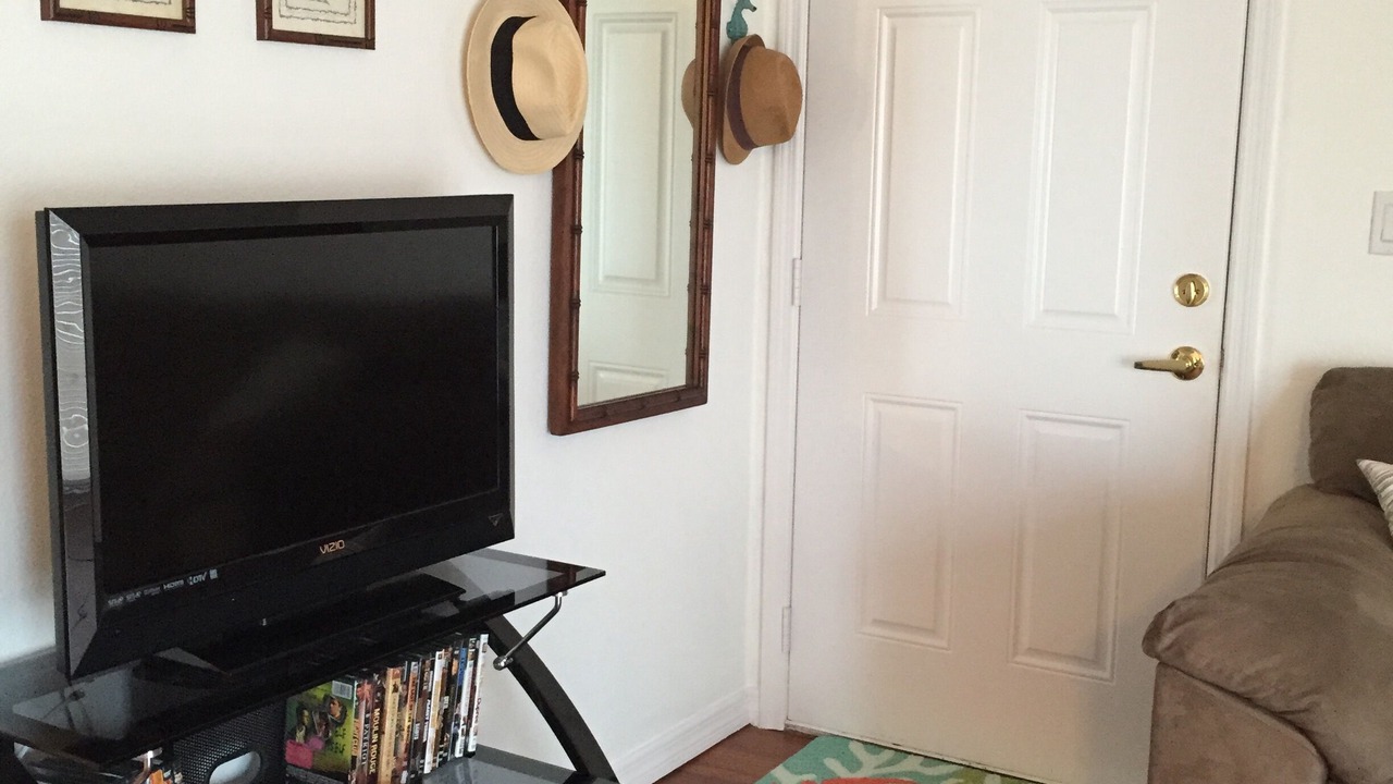Photo of Livingroom in Fort Myers