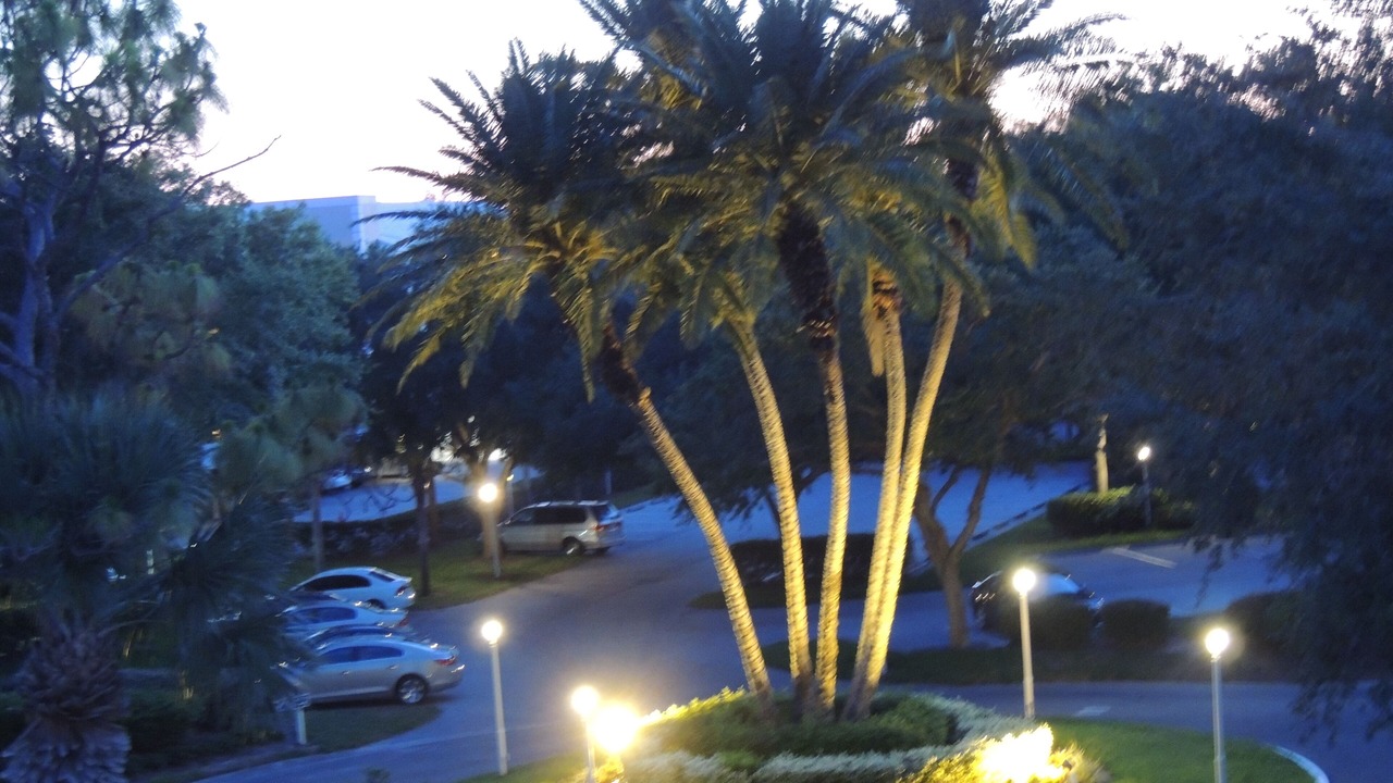 Photo of Others in Plantation