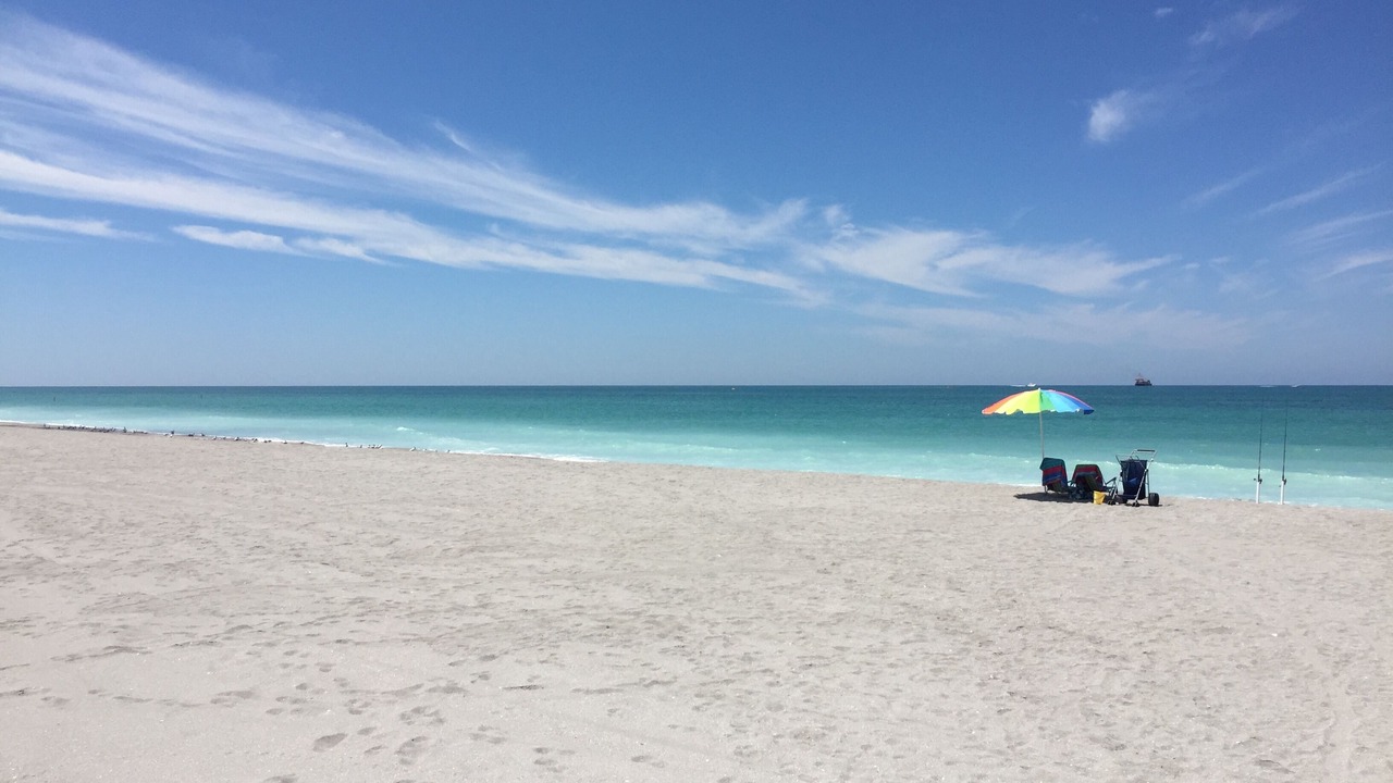 Photo of Others in Siesta Key