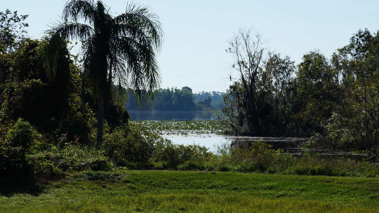 Photo of Others in Haines City
