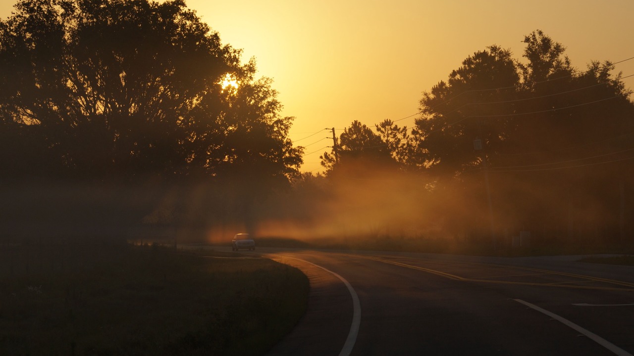 Photo of Others in Haines City