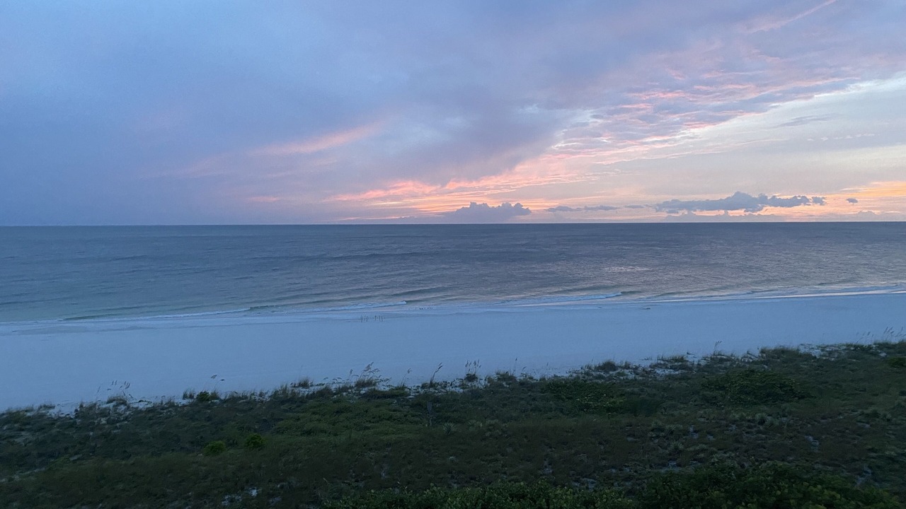 Photo of Others in Marco Island