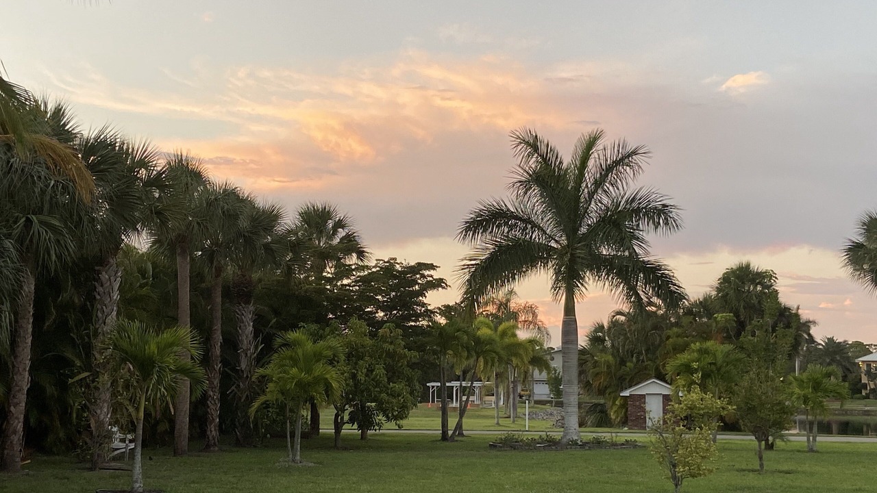 Photo of Others in Bonita Shores
