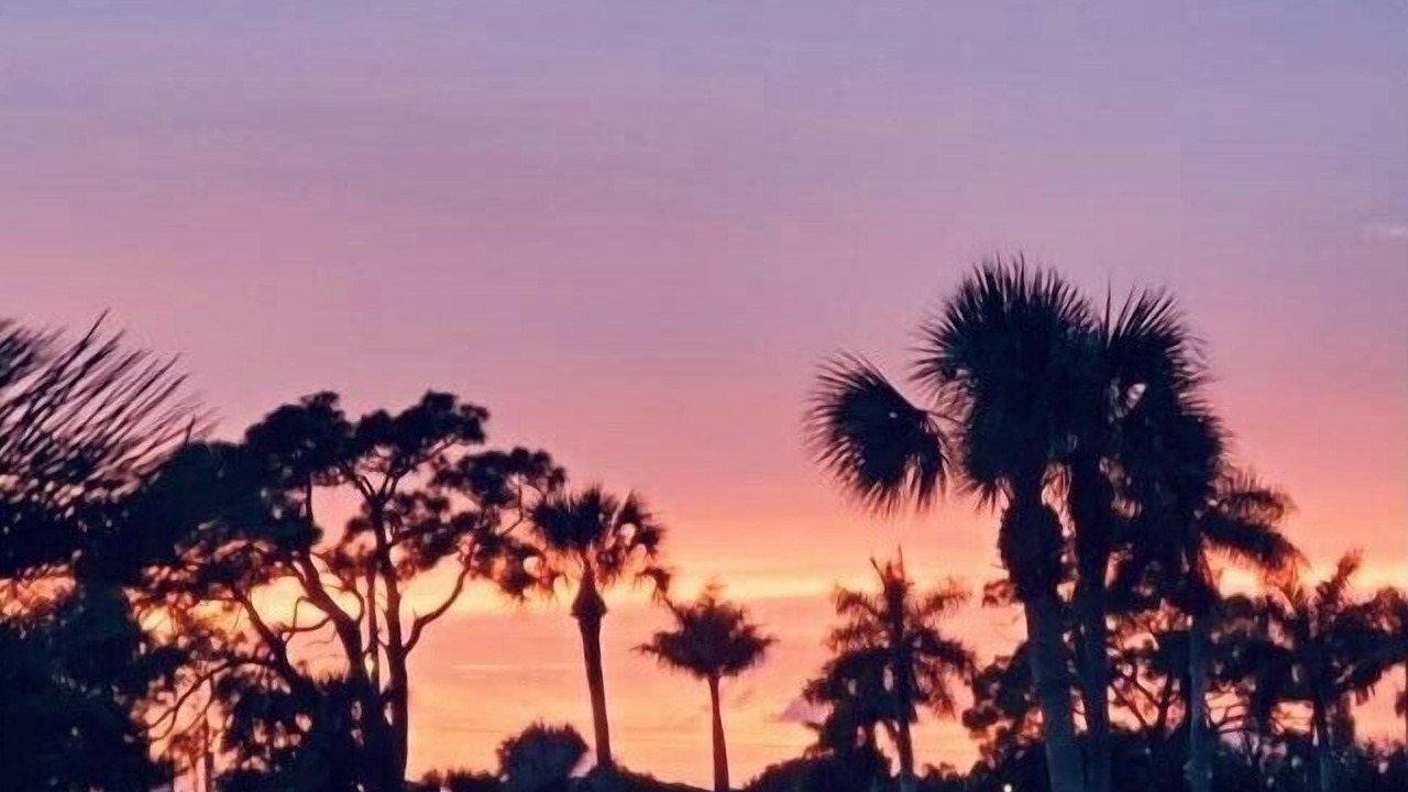 Photo of Others in Bonita Shores